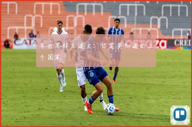 年世界杯东道主：你需要知道的三个国家