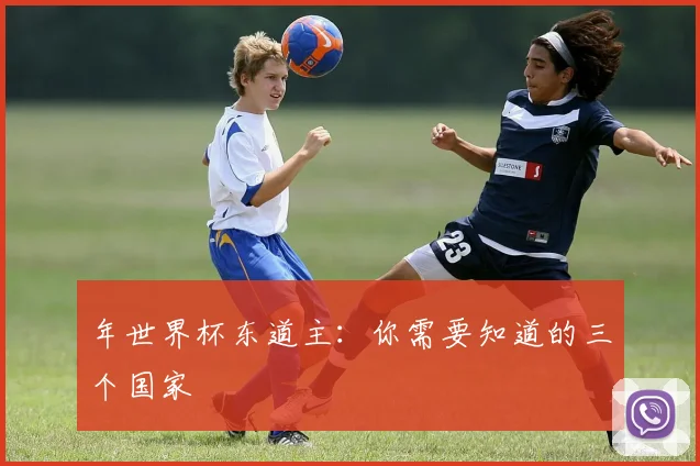 年世界杯东道主：你需要知道的三个国家